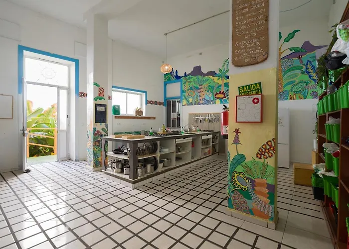 Jungle House